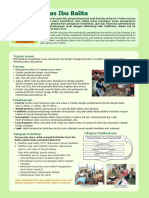 Information Sheet Kelas Ibu Balita.pdf
