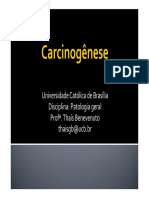 4.2.Carcinogênese[1]