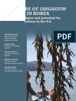 Culturing Sargassum Seaweed in Korea and the U.S