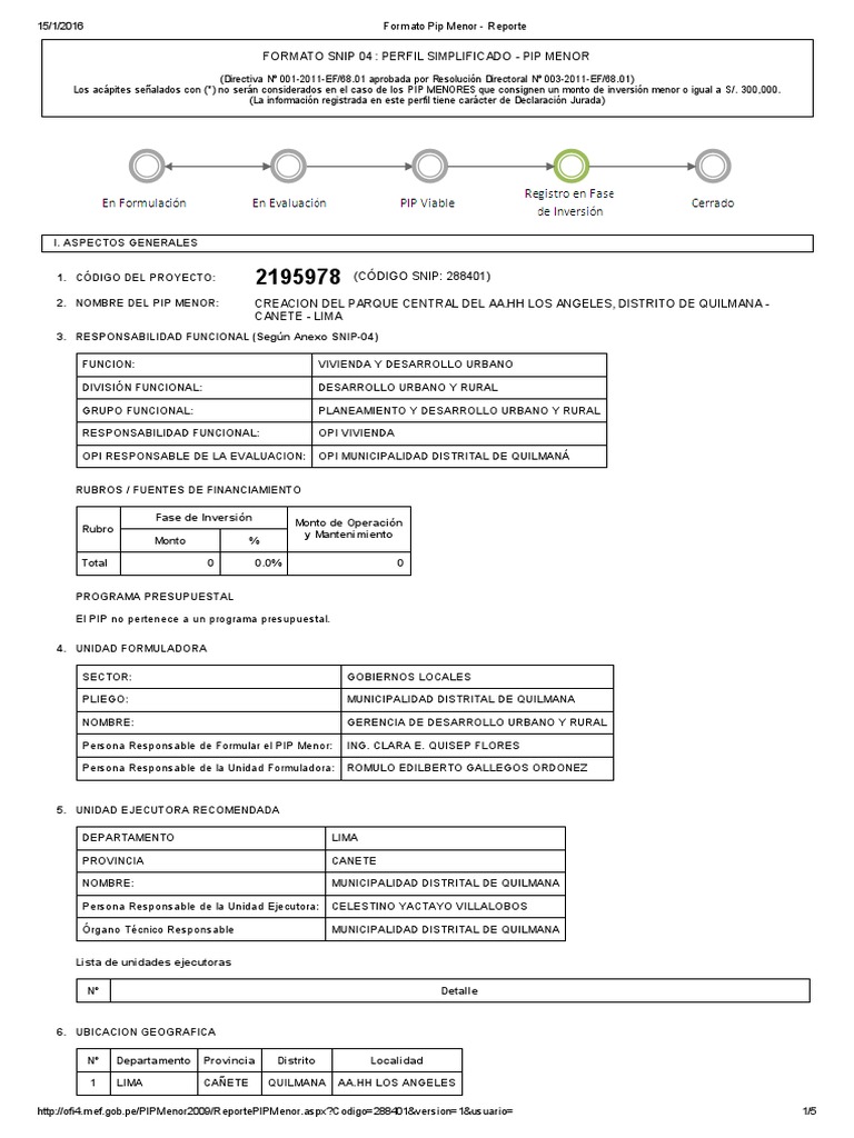 Formato Pip Menor - Reporte | Descargar gratis PDF | Precios | Ciencias ...