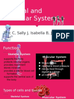 Skeletal and Muscular System