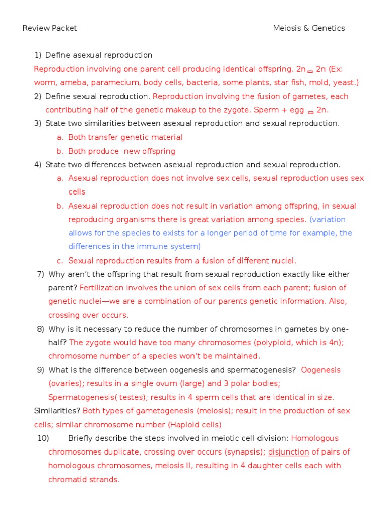 Meiosis and Genetics Review Guide | PDF | Meiosis | Sexual Reproduction
