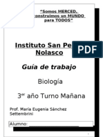 Guia de Trabajo de 3° Año Instituto San Pedro Nolasco