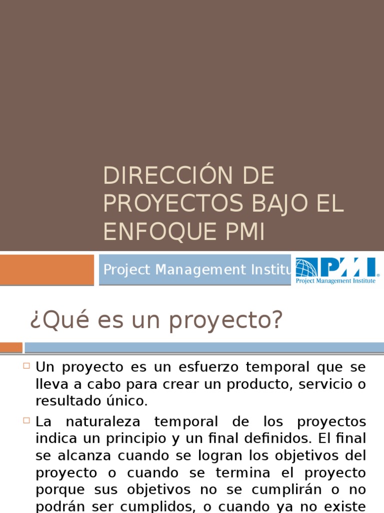 Dirección de Proyectos Bajo El Enfoque Pmi | PDF | Proceso de ...
