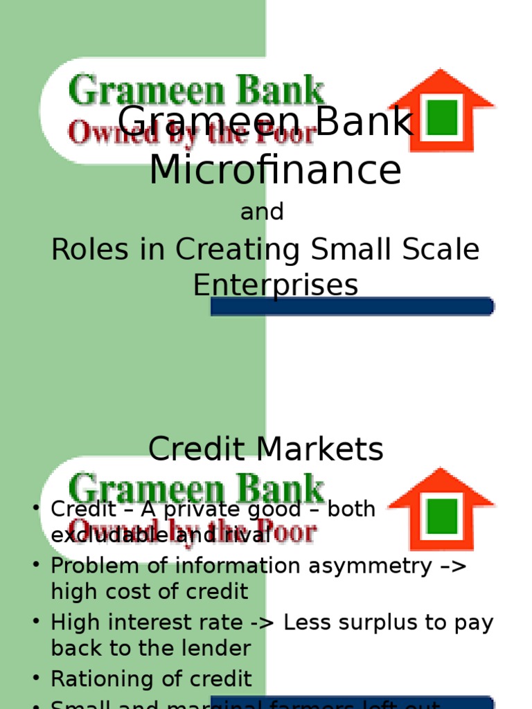 Grameen Bank Microfinance Roles In Creating Small Scale Enterprises