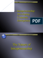 Chapter 3 - Intrapreneurship: Developing Corporate Entrepreneurship