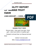 Feasibility Report of Nawab Fruit Farm: LOAN AMOUNT 13000, 00