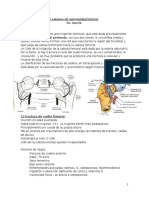 7 Lesiones de EEII