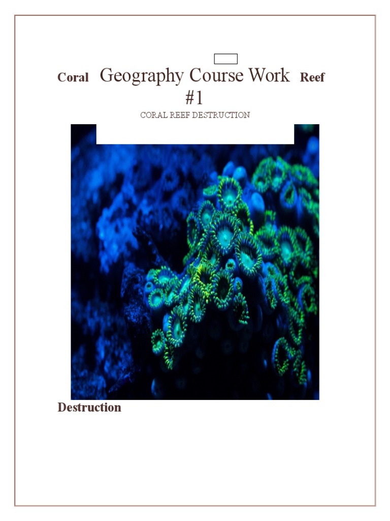 Essay On Coral Reef Destruction