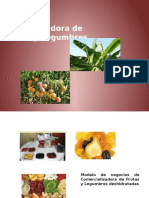 BM_Canvas Deshidratodra de Frutas y Legumbres