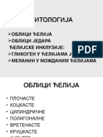 2. Oblik Ćelija, Jedara, Ćelijske Inkluzije