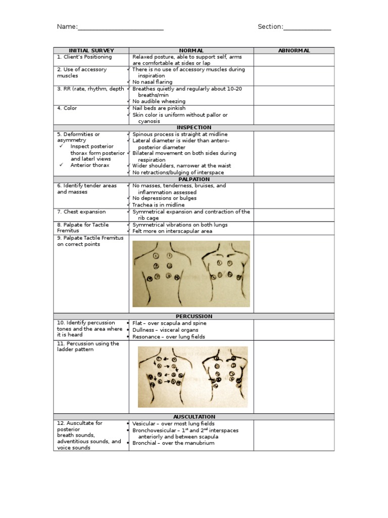 Thorax and Lungs Assessment Guide | PDF | Wellness