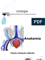 Incontinecia Urinaria