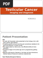 Testicular Cancer