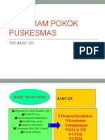 Program Pokok Puskesmas