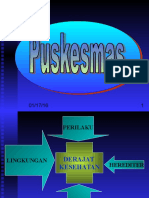 Perkembangan Puskesmas (2006)