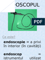 04 - Endoscopul