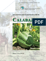 Calabaza Exportacion