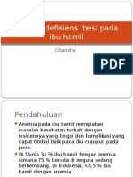 Anemia Defisiensi Besi Pada Ibu Hamil