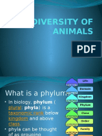 Biodiversity of Animals