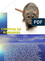 Control de Roedores 2015-3