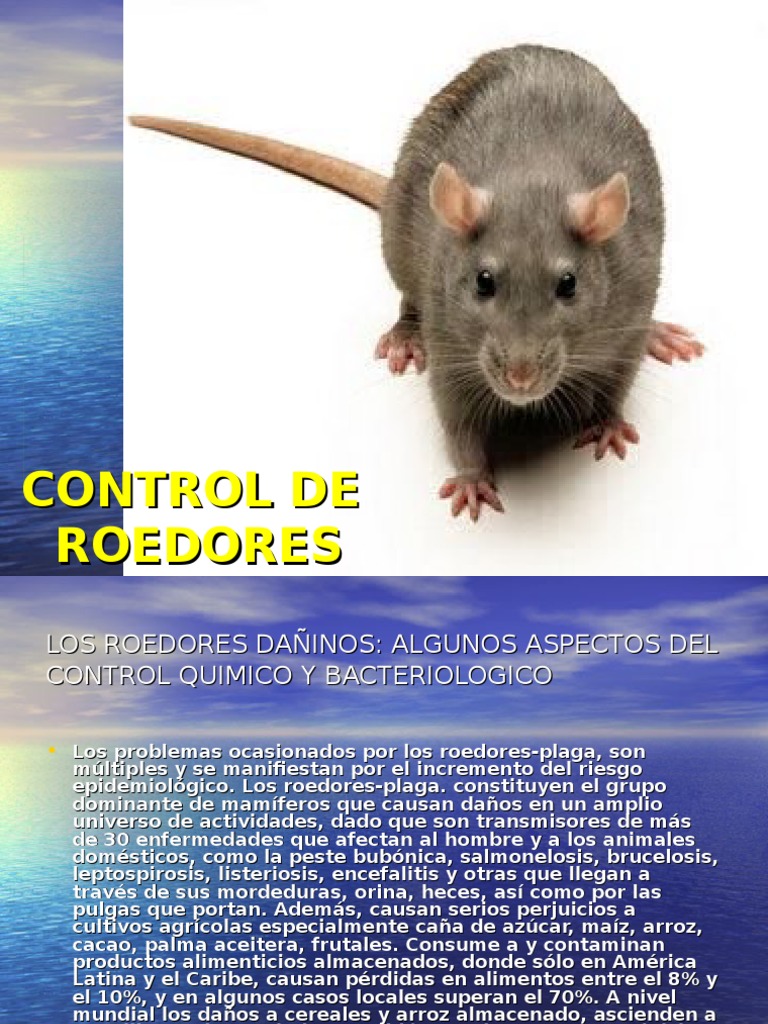 Control de Roedores Dañinos | PDF | Tecnología