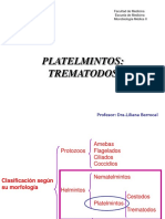 Clase Platelmintos Trematodos