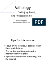 Pathology: Review 1: Cell Injury, Death, and Adaptation I, II, III