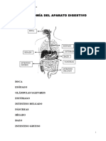 Manual de Star Medic