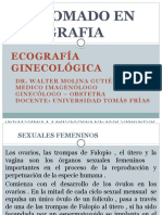 2 Teoria - Ecografia Ginecologica