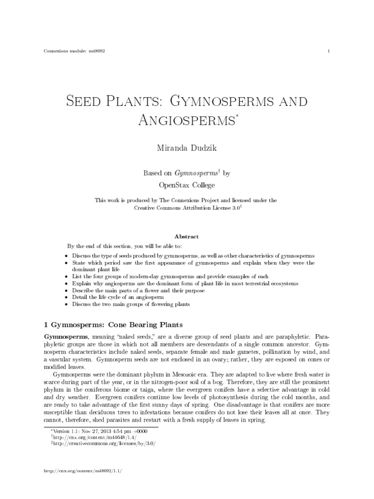 Seed Plants Gymnosperms and Angiosperms 1 PDF | PDF | Pinophyta | Fruit