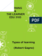 Types of Learning, Gagne