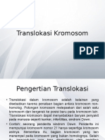 Translokasi Kromosom