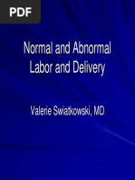 Swiatkowski Labor & Delivery[1]