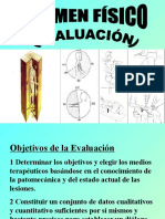 Examen Fisico de los musculos  y pruebas  funcionales.