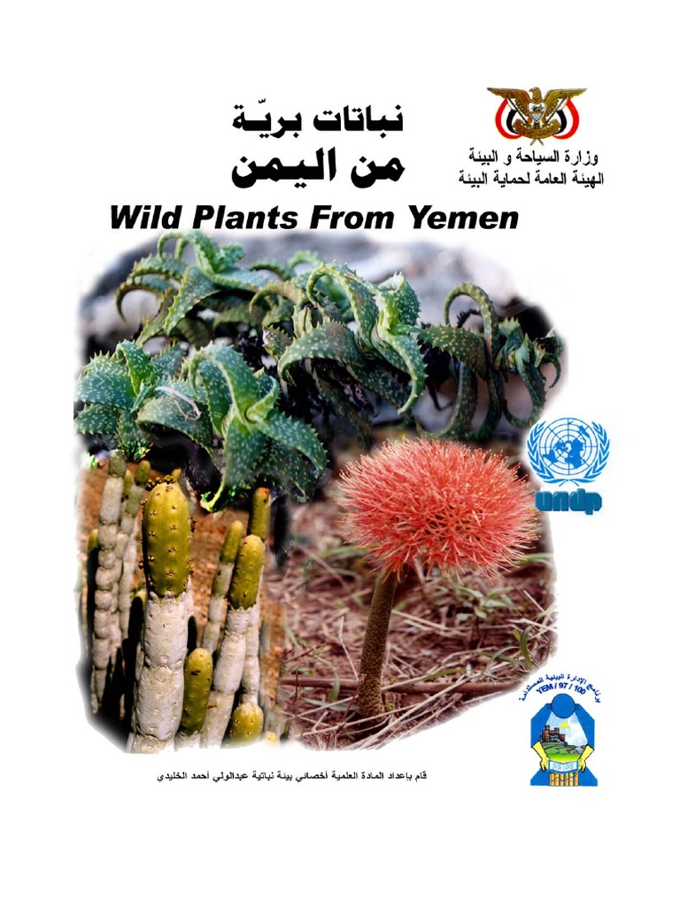 Plants of Yemen 1 | PDF