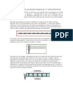 Como Se Producen Los Sonidos Musicales y 3 Caracteristicas