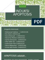 Induksi Apoptosis