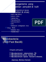 K 10 Skin Infections.