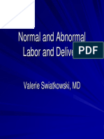 Swiatkowski Labor & Delivery[1]