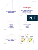 4B_Fisiología Sistema Digestivo.pdf