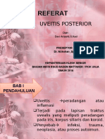 Uveitis Posterior