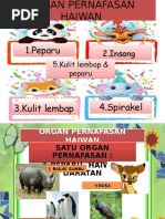 Download Organ Pernafasan Haiwan by misz77 SN295969577 doc pdf