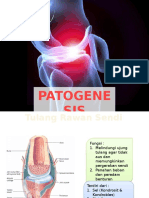 Patogenesis Oa