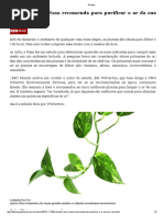 5 Plantas Que a Nasa Recomenda Para Purificar o Ar Da Sua Casa - Ciência - IG