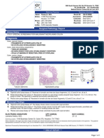 Diagnosis: Surgical Pathology Report