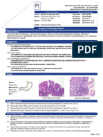 Diagnosis: Surgical Pathology Report