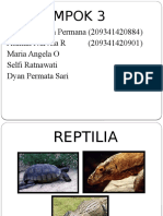 Reptilia 2
