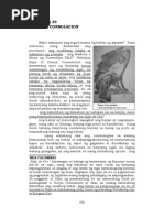 Noli Me Tangere Deciphered-kab039