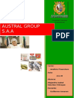 Analisis de Los E.F de Austral Group